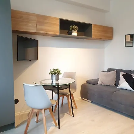 Studio Przy Motlawie Apartment